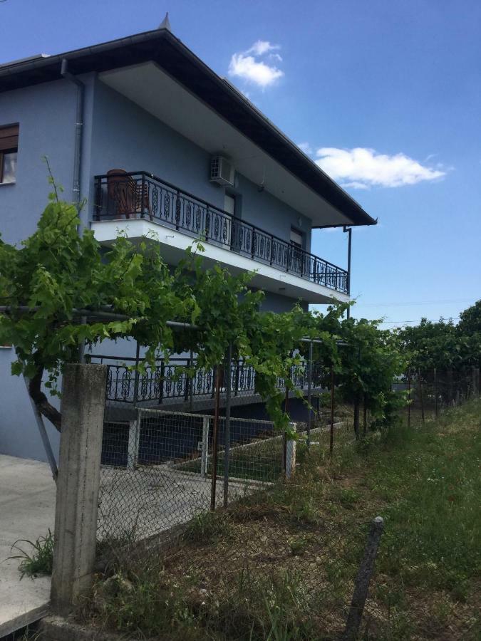 Mario'S House Apartment Vergina Ngoại thất bức ảnh